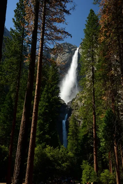 DSC_2391 (Large).JPG